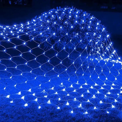 49653404336469|49653404369237|49653404467541